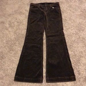 Flared brown velvet 7 for all mankind pant.